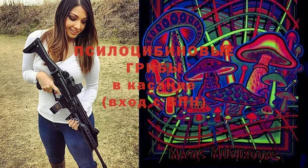 метадон Краснослободск