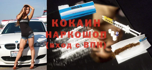 стафф Коряжма