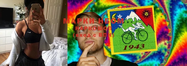 стафф Коряжма