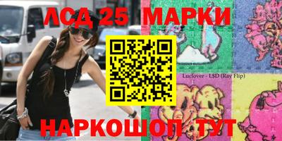 apvp Коммунар