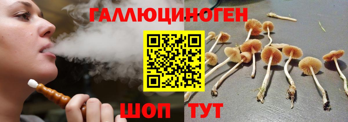 Псилоцибиновые грибы Psilocybe  Вход с VPN  Кстово  Псилоцибиновые грибы Magic Shrooms 